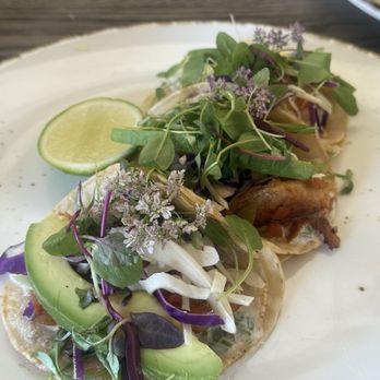 TerraTorry - Tacos - New American Near Me - Santa Monica, California TerraTorry - Tacos - New American Near Me - Santa Monica, California