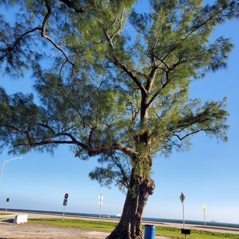 The Pines Park - Parks Near Me - Key West, Florida The Pines Park - Parks Near Me - Key West, Florida