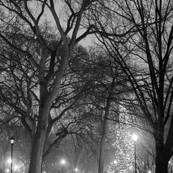 Tompkins Square Park - Black and white winter night view