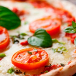 Newtown Square Pizza and Grill