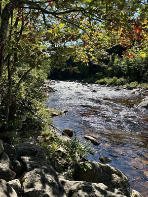 Rocky Gorge Scenic Area by null