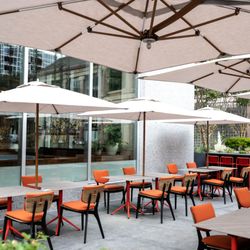 Poppy & Claro - Patio dining overlooking the historic Circle of Palms in downtown.