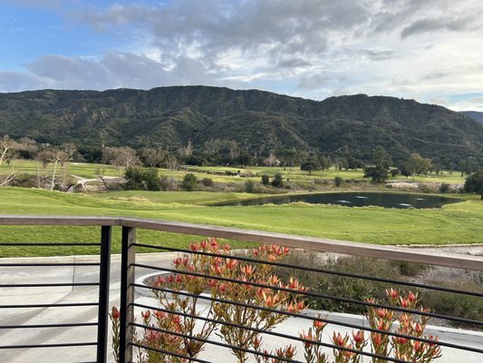 Zaidee's Bar and Grill by null