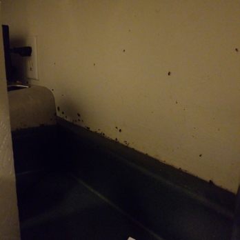 MLC Properties & Management - Roaches - Real Estate Services Near Me - Chicago, Illinois