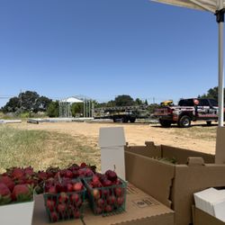 Xiong Family Farms - It's finally being built. A new wash station, prep area, and storage room. So exciting!