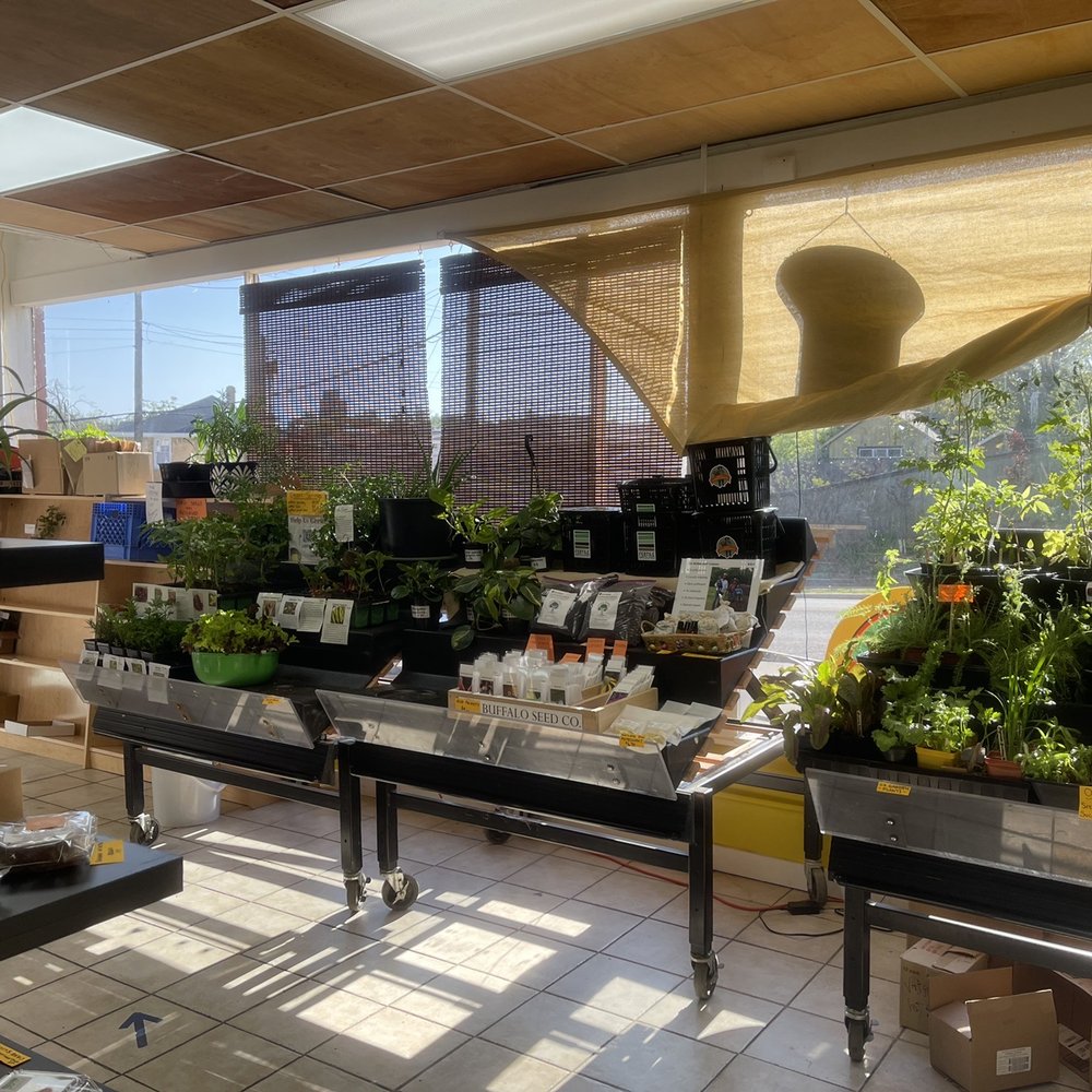 Flora - a variety of plants in a store - Grocery Near Me - Oklahoma City, Oklahoma Flora - a variety of plants in a store - Grocery Near Me - Oklahoma City, Oklahoma