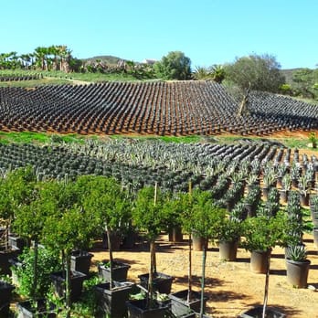 Moon Valley Nurseries - Landscaping Near Me - Escondido, California Moon Valley Nurseries - Landscaping Near Me - Escondido, California