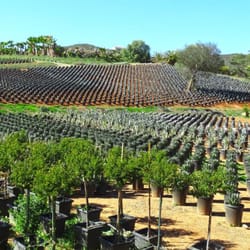 Moon Valley Nurseries