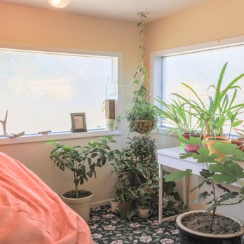 The Local Nomad - Bright and comfortable lounging areas. - Hostels Near Me - Paonia, Colorado The Local Nomad - Bright and comfortable lounging areas. - Hostels Near Me - Paonia, Colorado