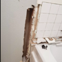 Photo of Kingdom Plumbing