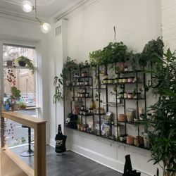 Dope Botanicals - Store!
