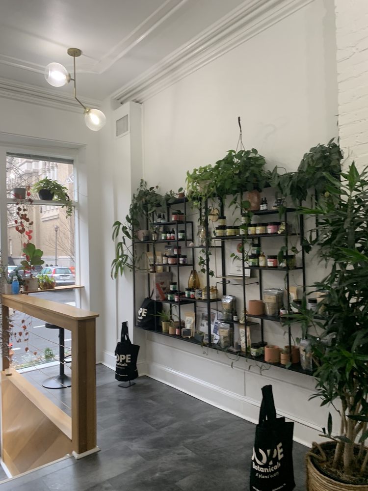 Dope Botanicals Logo