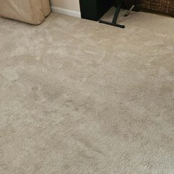 Carpet Pro - Sanitized