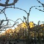 Photo of Paseo Cortes De Aragón