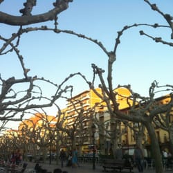 Paseo Cortes De Aragón