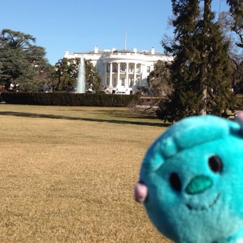 The White House - White House - Landmarks & Historical Buildings Near Me - Washington, DC, District of Columbia