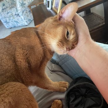 Wakefield Pets - Pet Sitting Near Me Wakefield Pets - Pet Sitting Near Me