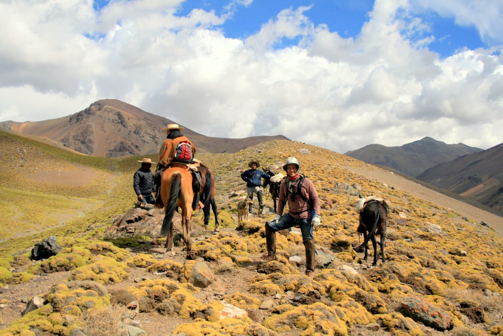 The Explorer's Passage