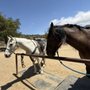 Photo of Rainbow Ridge Ranch