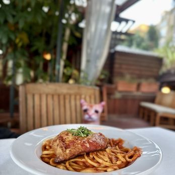 Shadowbrook - Chicken Parmigiano - American Near Me - Capitola, California Shadowbrook - Chicken Parmigiano - American Near Me - Capitola, California