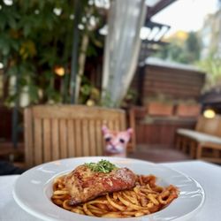 Chicken Parmigiano