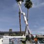 Photo of Soto’s Tree Services