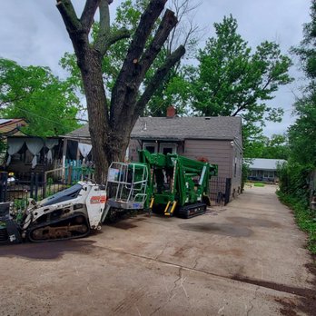 Lumberjack Toms Tree Removal - After!! - Tree Services Near Me Lumberjack Toms Tree Removal - After!! - Tree Services Near Me
