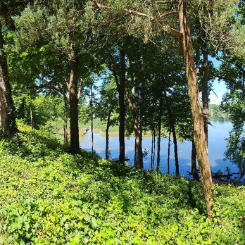 Trees Plus - WHAT A VEIW!! - Tree Services Near Me Trees Plus - WHAT A VEIW!! - Tree Services Near Me