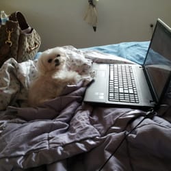 The Computer Ward