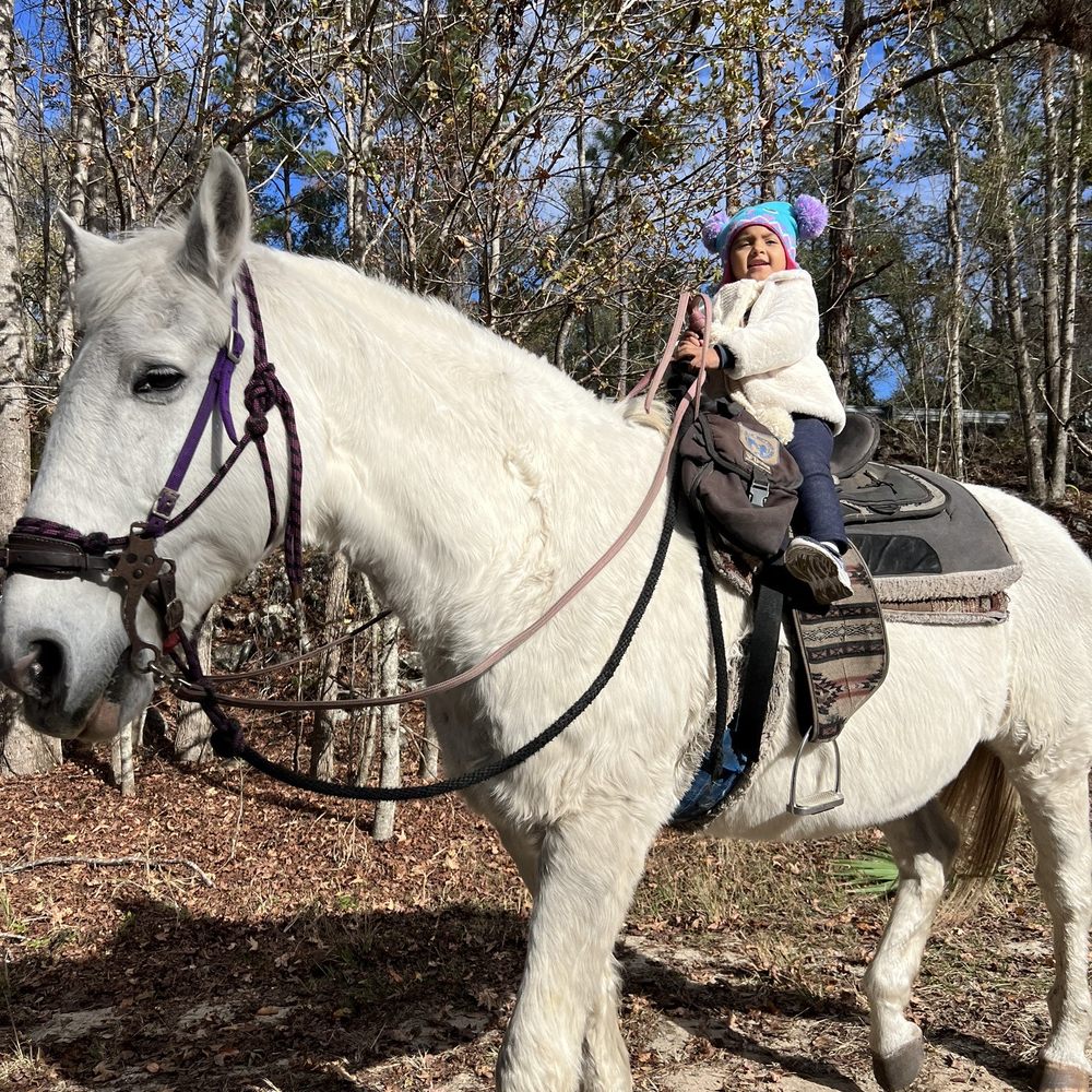 Makin' Tracks Trail Rides - Kit kat the horse - Horseback Riding Near Me - Fort McCoy, Florida