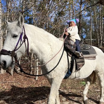 Makin' Tracks Trail Rides - Kit kat the horse - Horseback Riding Near Me - Fort McCoy, Florida