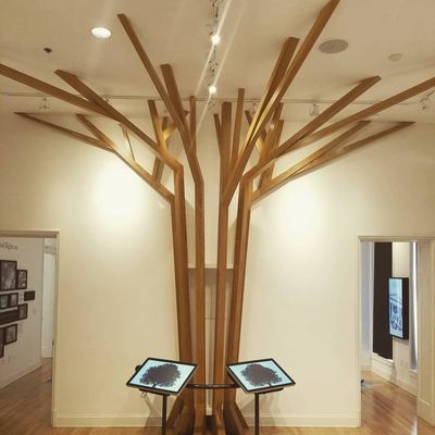 Black History Museum and Cultural Center of Virginia by null