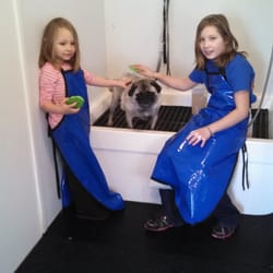 Dirty Dawgs Self Serve Pet Wash & Groom