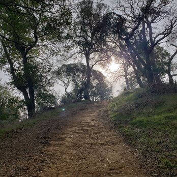 Briones Regional Park - Parks Near Me - Martinez, California Briones Regional Park - Parks Near Me - Martinez, California