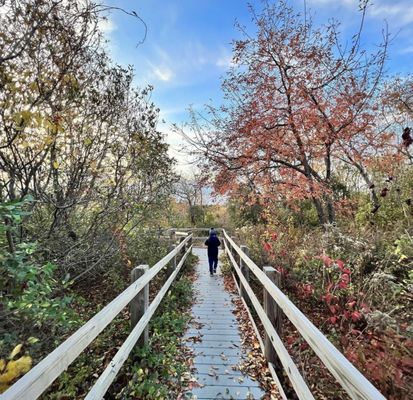Jamaica Bay Wildlife Refuge by null