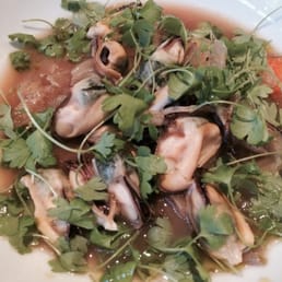 Mussel Mussel
