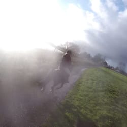 St Leonards riding school - Running Wild