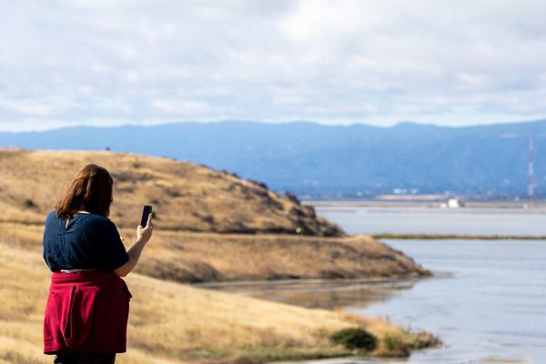 Coyote Hills Regional Park by null