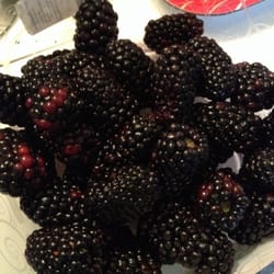 Baron Farms - U-pick blackberries. Fresh and delicious.