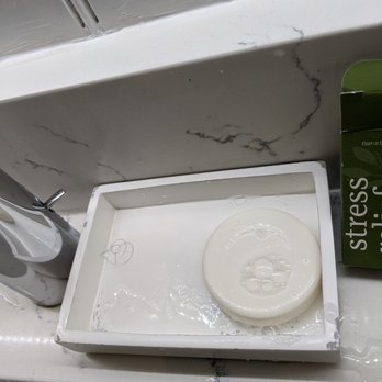 Aggie Inn - Hair in soap dish. - Hotels Near Me - Davis, California