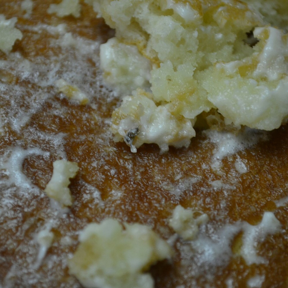 Village Inn - Flies in pancakes - Breakfast & Brunch Near Me - El Paso, Texas Village Inn - Flies in pancakes - Breakfast & Brunch Near Me - El Paso, Texas