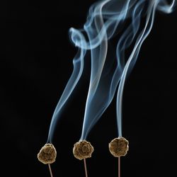The Wholesome Lotus Fertility Acupuncture