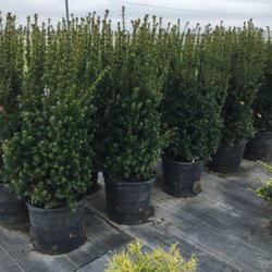 Shademaster Nursery