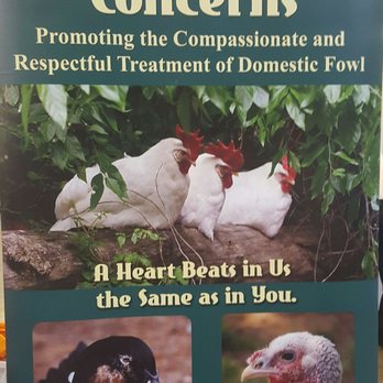 SacTown VegFest - Lots of animal rights groups today - Festivals Near Me - Sacramento, California SacTown VegFest - Lots of animal rights groups today - Festivals Near Me - Sacramento, California