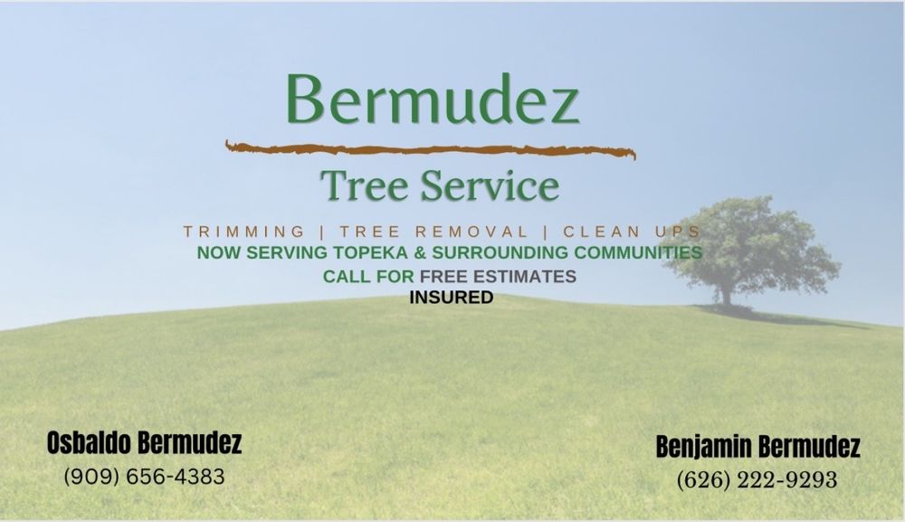 Bermudez Tree Service - tree service in Topeka, KS