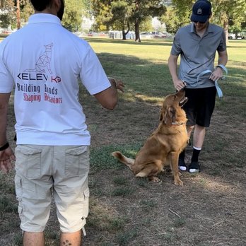 Kelev K-9 - Pet Training Near Me Kelev K-9 - Pet Training Near Me