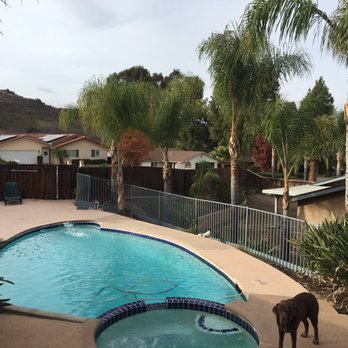 All Access Tree Care - Just cleaning up the queens really helped. - Tree Services Near Me - El Cajon, California All Access Tree Care - Just cleaning up the queens really helped. - Tree Services Near Me - El Cajon, California