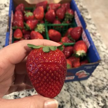 Goodson Farms - Farmers Market Near Me - Wimauma, Florida
