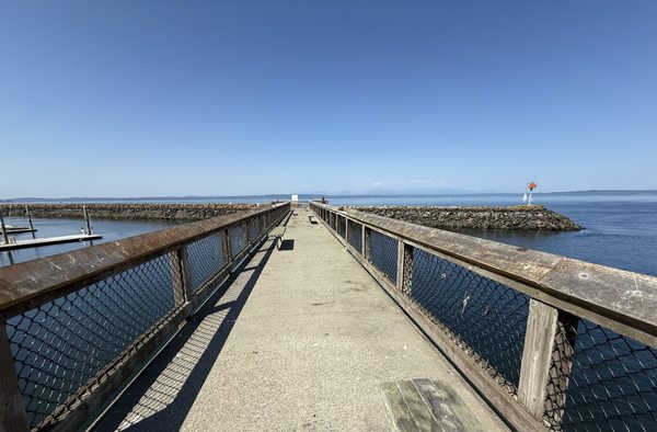 Golden Gardens Park by null