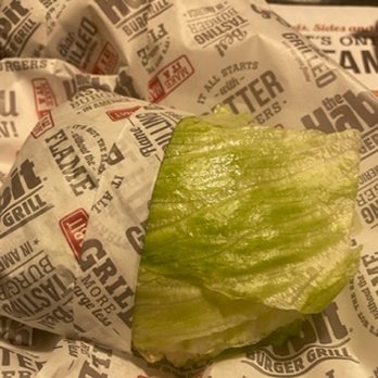 Habit Burger & Grill - CHARBURGER in lettuce - Salad Near Me - Boca Raton, Florida